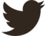Twitter logo