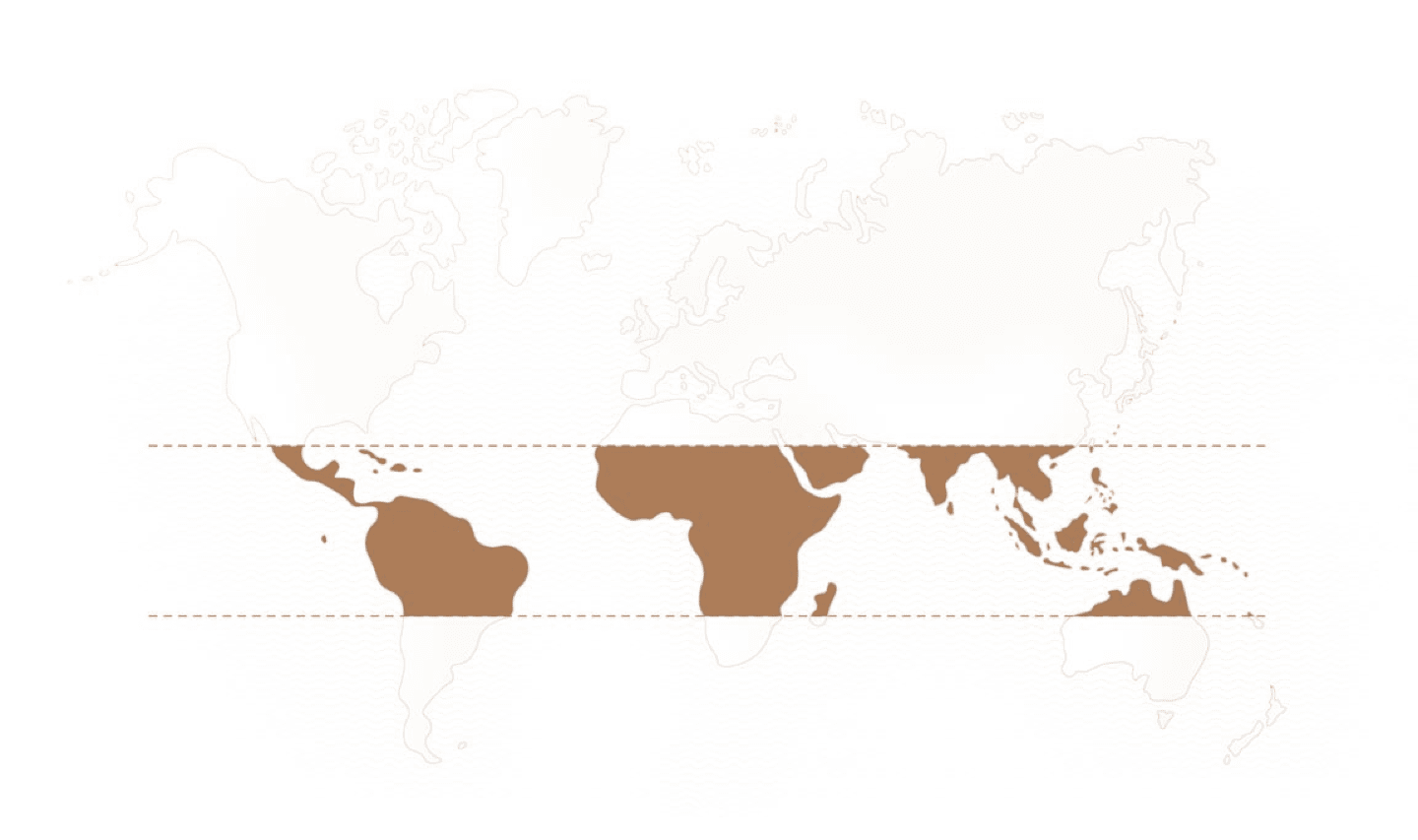 World map