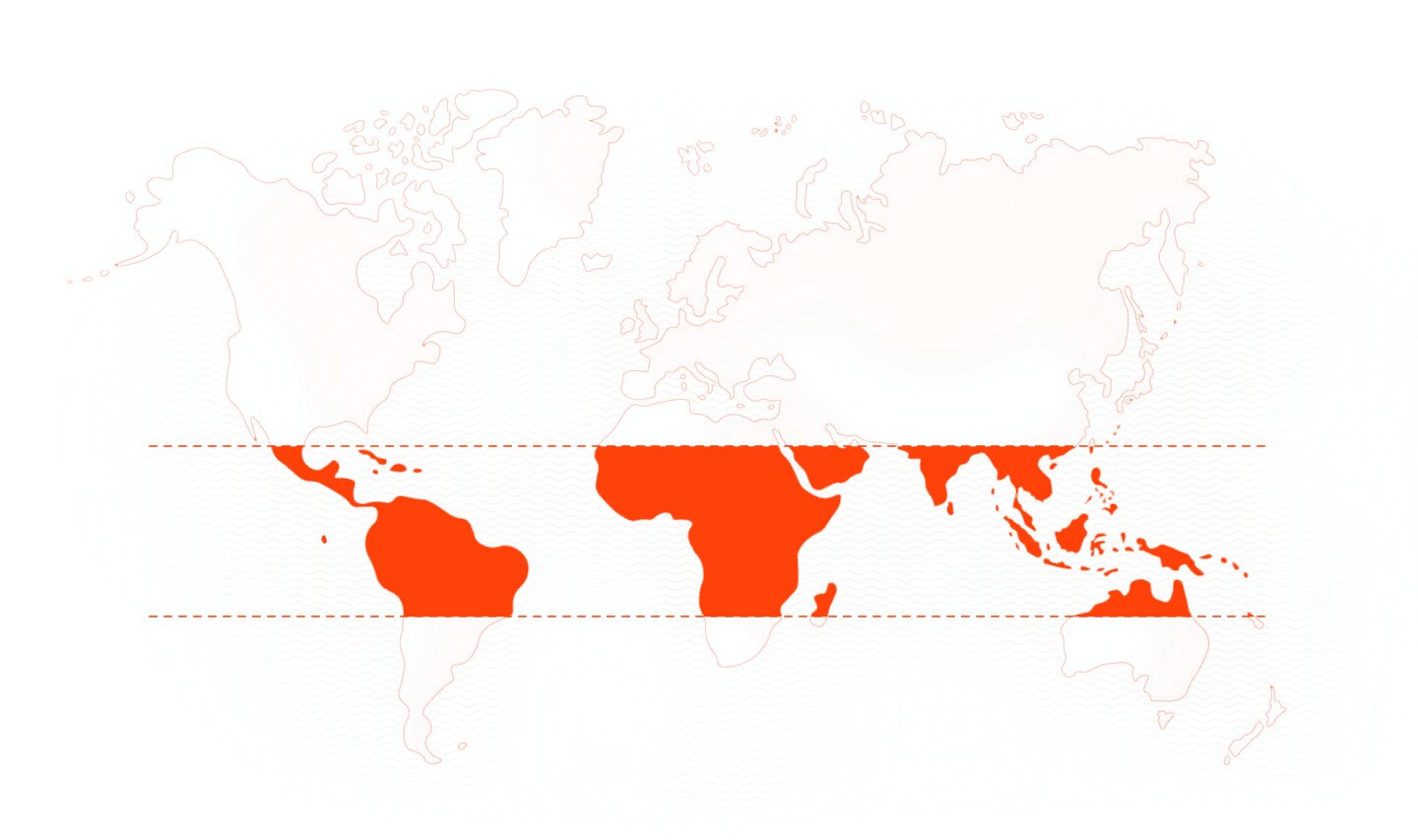 World map