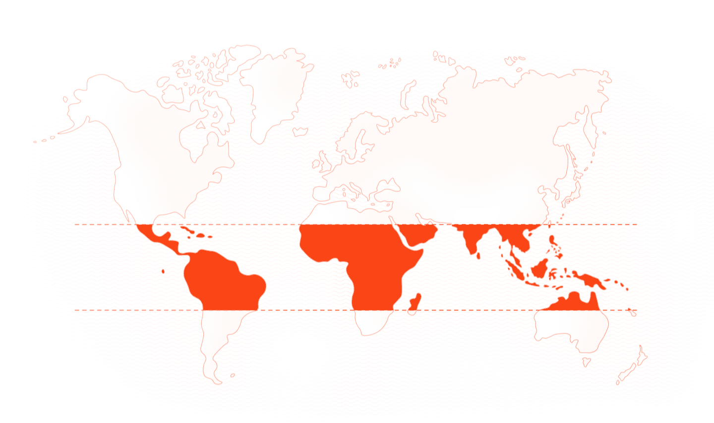 World map