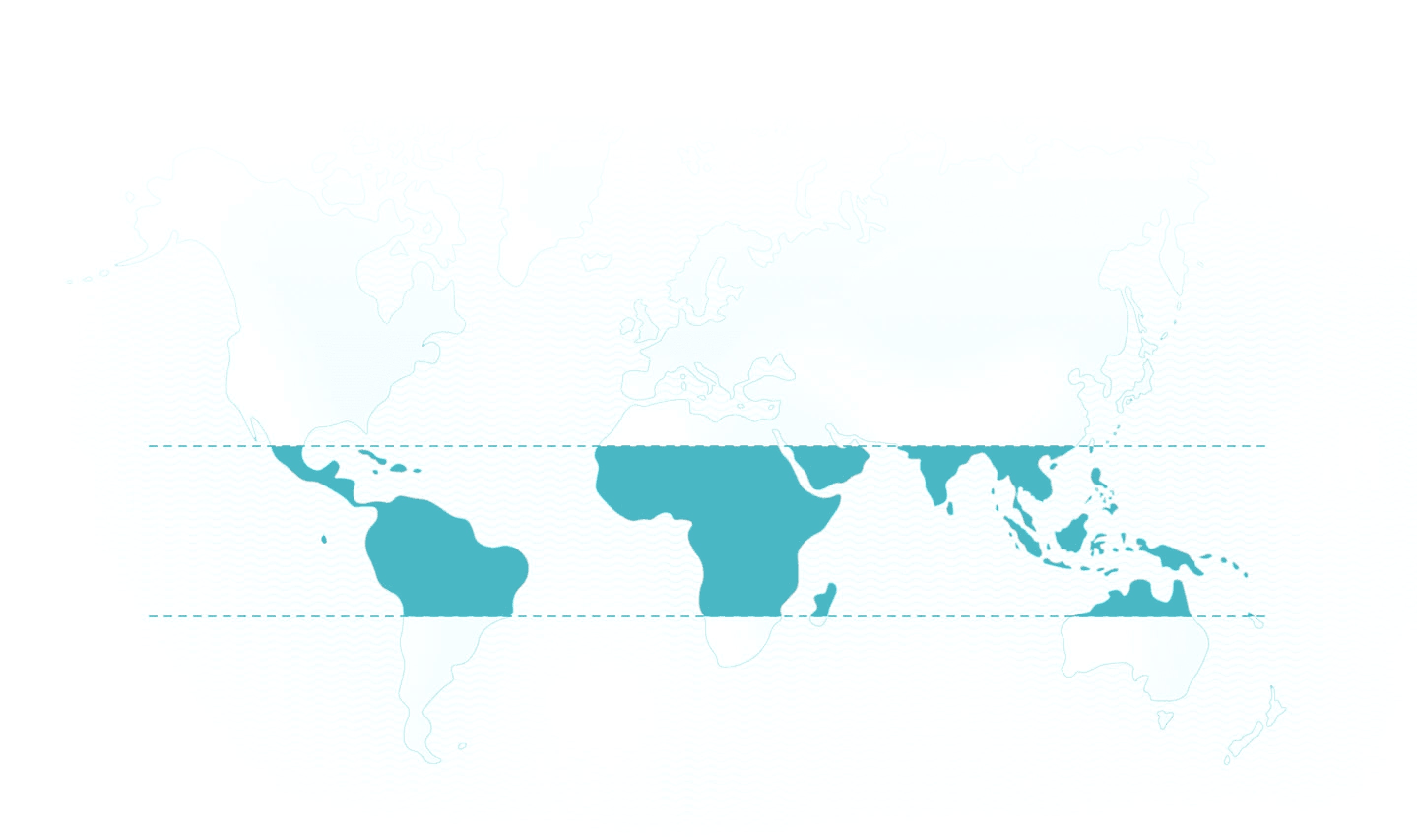 World map