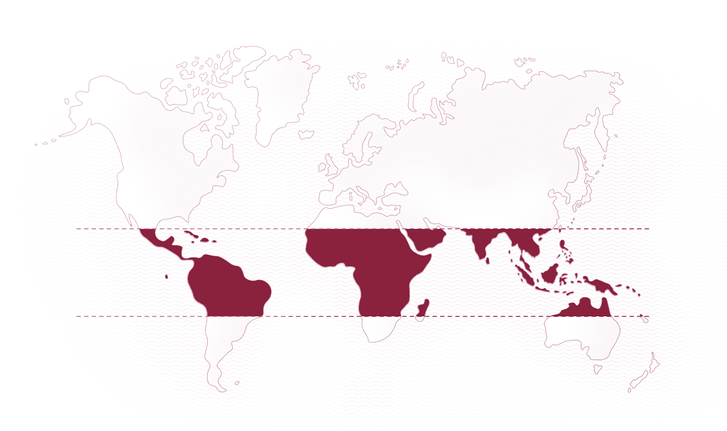 World map