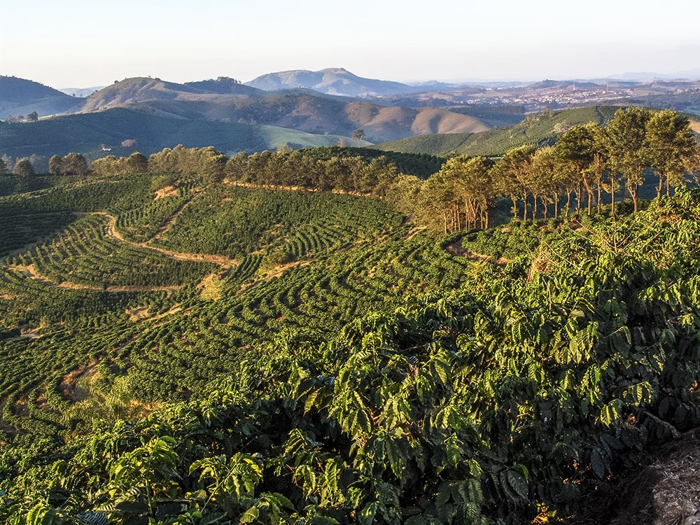 Brazil landscape
