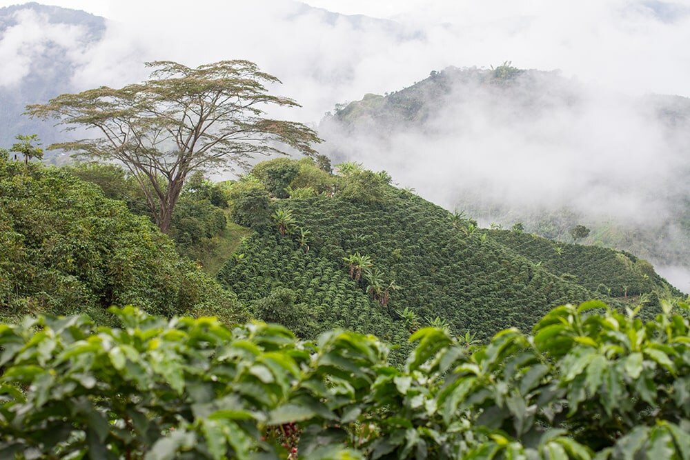 Colombian landscape
