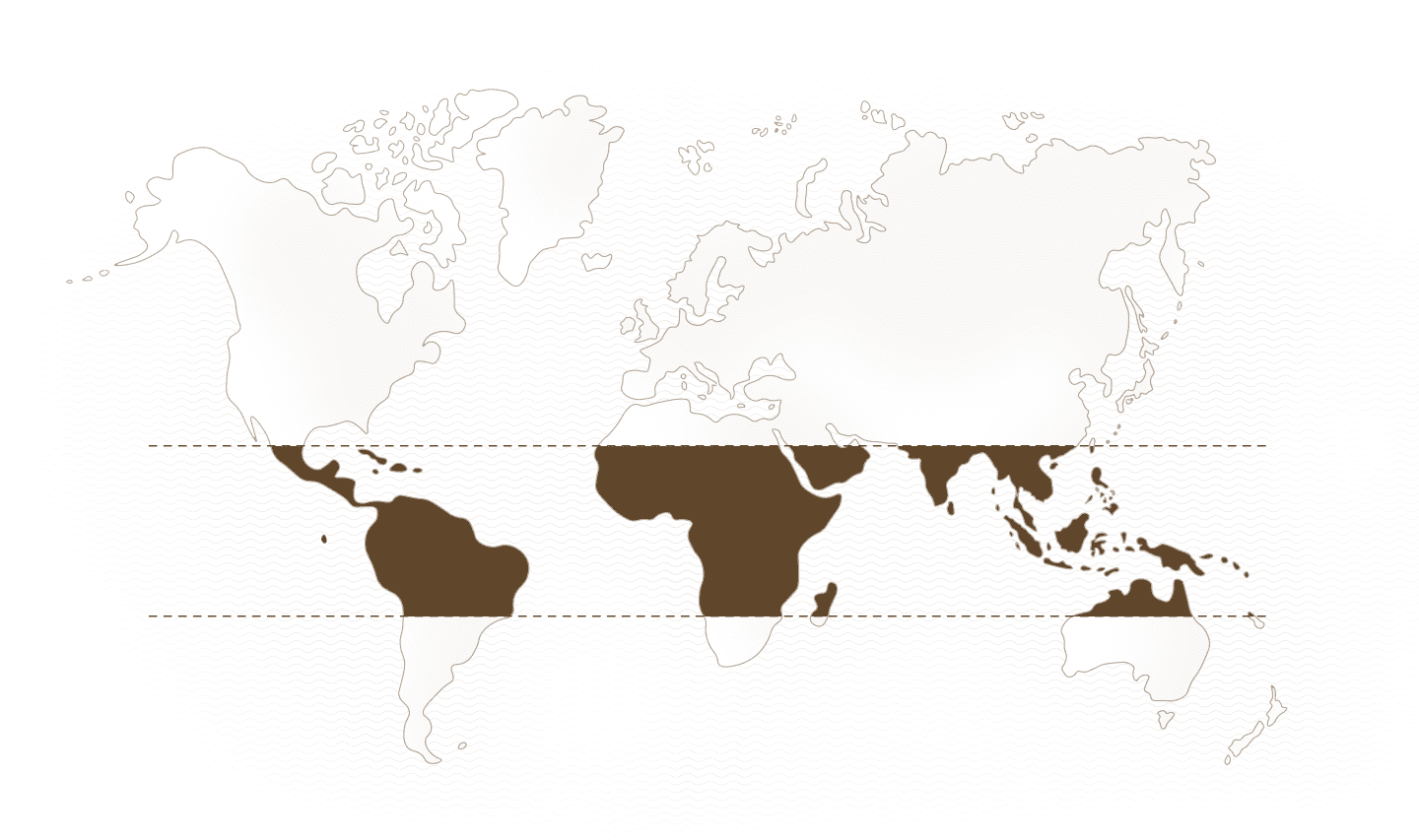World map