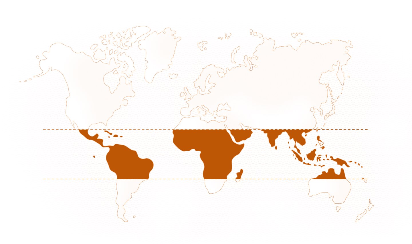 World map