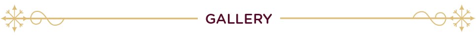 Gallery Gallery