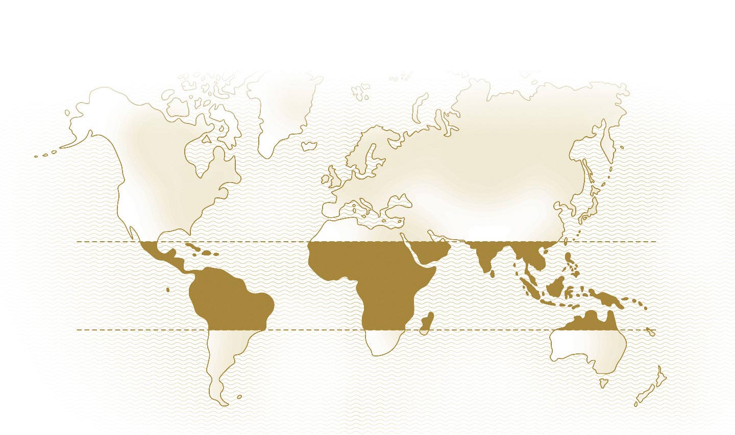 World map