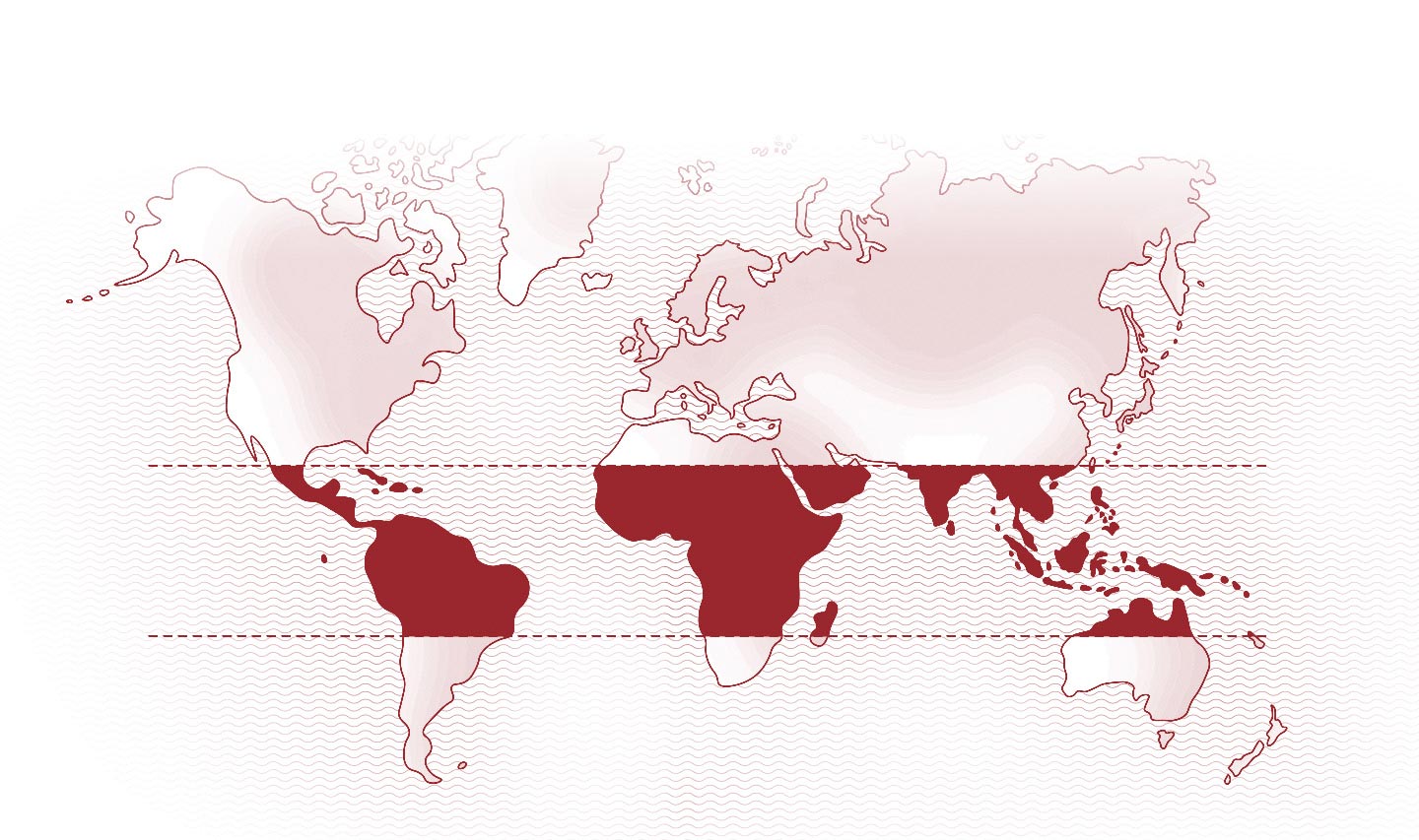 World map
