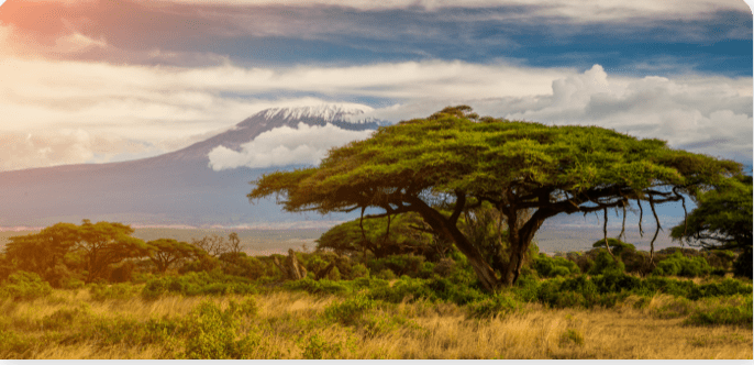 kenyan landscape for coffee