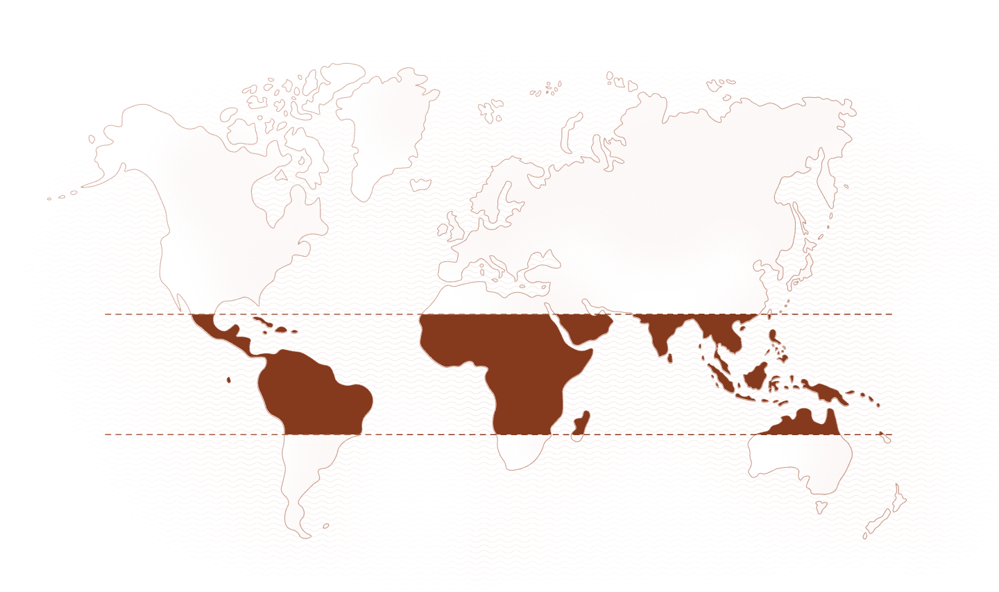 World map