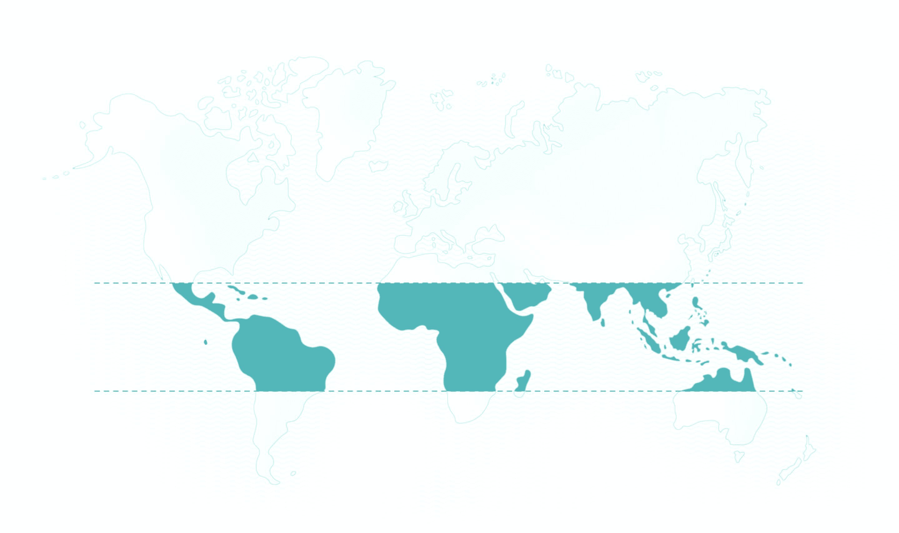World map