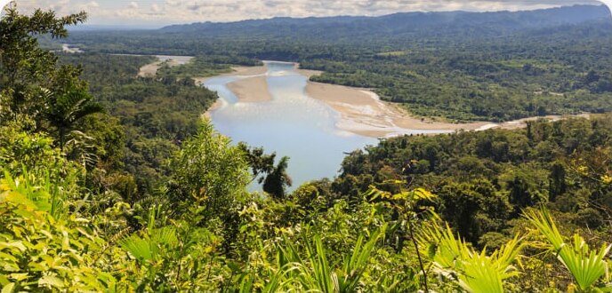peruvian landscape for coffee